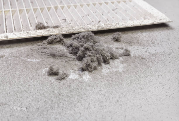 Best HVAC Duct Inspection Services  in Palm Beach Shores, FL
